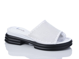 WL111-1, 8 (36-41), <strong>540</strong>, літо