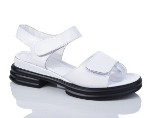 WL112-1, 8 (36-41), <strong>540</strong>, літо