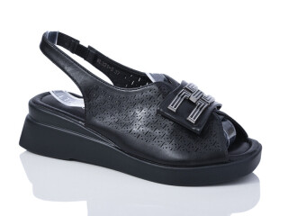 WL331-5, 8 (36-41), <strong>420</strong>, літо