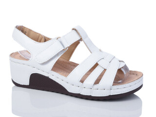 G79-2, 8 (37-42), <strong>450</strong>, літо