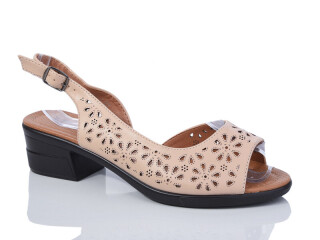 W205-3, 8 (36-41), <strong>340</strong>, літо