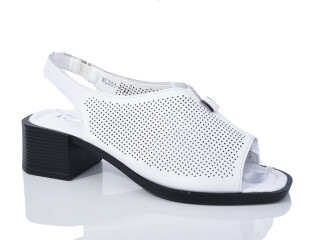 WL551-1, 8 (36-41), <strong>540</strong>, літо