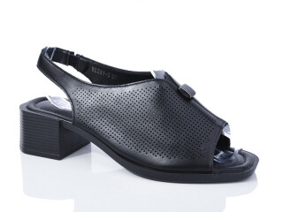 WL551-5, 8 (36-41), <strong>540</strong>, літо