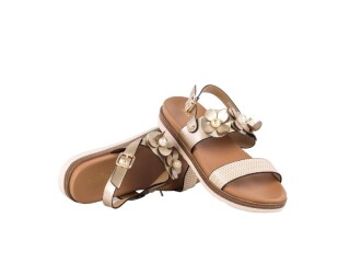 Prime JK2281-U5 GOLD літо, 8 (36-41), <strong>143</strong>, літо