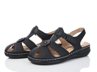 W322-1, 8 (36-41), <strong>290</strong>, літо