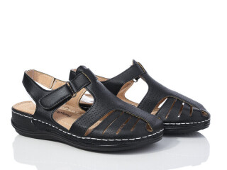 W325-1, 8 (36-41), <strong>290</strong>, літо