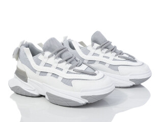 149-38 grey, 8 (36-41), <strong>700</strong>, демісезон