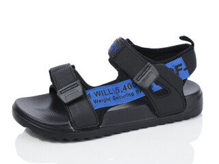 2319-116, 8 (36-41), <strong>250</strong>, літо