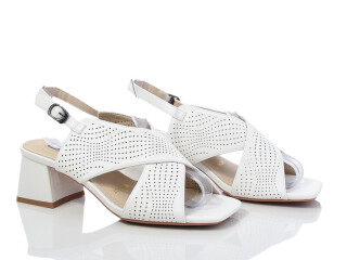 A875-3, 6 (36-40), <strong>500</strong>, літо