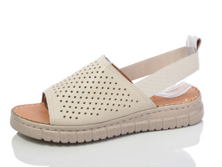 211-2, 8 (36-41), <strong>440</strong>, літо