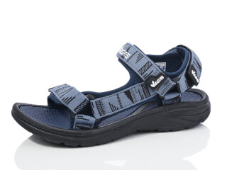 B303-3, 8 (36-41), <strong>11</strong>, літо