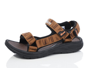 B303-4, 8 (36-41), <strong>11</strong>, літо