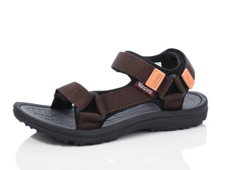 B304-3, 8 (36-41), <strong>11</strong>, літо