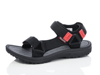 B304-7, 8 (36-41), <strong>11</strong>, літо