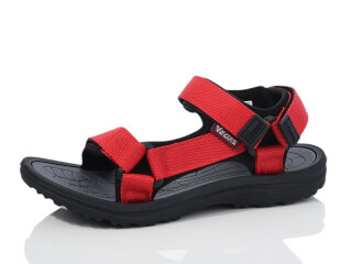 B304-6, 8 (36-41), <strong>11</strong>, літо