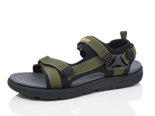 A202-3, 8 (41-46), <strong>11</strong>, літо