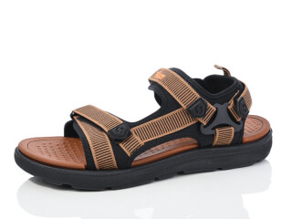 A202-4, 8 (41-46), <strong>11</strong>, літо