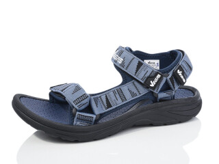 A203-3, 8 (41-46), <strong>11</strong>, літо