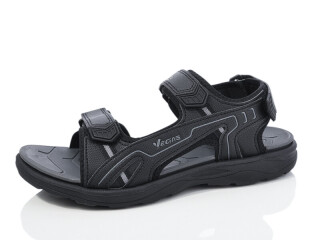 A206-1, 8 (41-46), <strong>11</strong>, літо