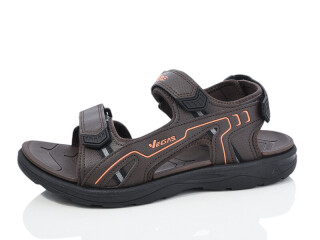 A206-3, 8 (41-46), <strong>11</strong>, літо