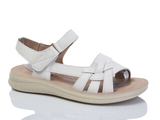 ZK315-3, 8 (36-41), <strong>450</strong>, літо