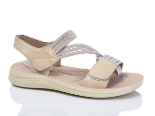 ZK311-5, 8 (36-41), <strong>470</strong>, літо