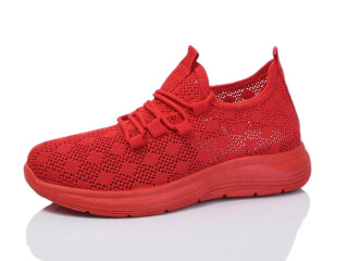 551-3, 8 (37-41), <strong>360</strong>, літо