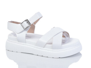 XX0223, 8 (36-41), <strong>440</strong>, літо