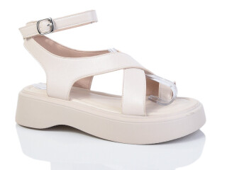 XX0241, 8 (36-41), <strong>440</strong>, літо