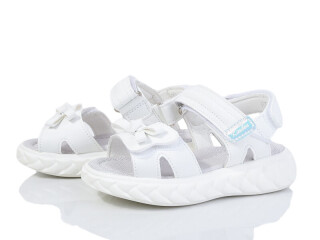 FG52-1C, 8 (23-28), <strong>460</strong>, літо