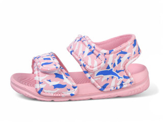 8002C-6, 12 (24-29), <strong>160</strong>, літо