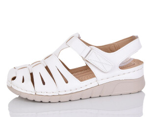 G96-2, 8 (37-42), <strong>450</strong>, літо