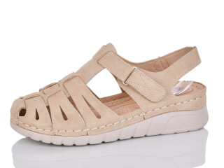 G96-3, 8 (37-42), <strong>450</strong>, літо