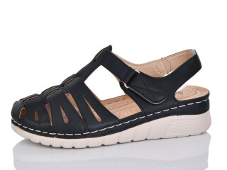 G96-8, 8 (37-42), <strong>450</strong>, літо