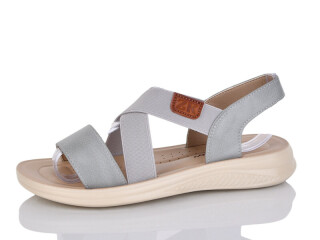 ZK305-10, 8 (36-41), <strong>450</strong>, літо