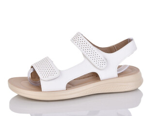 ZK303-2, 8 (36-41), <strong>450</strong>, літо