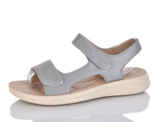 ZK303-10, 8 (36-41), <strong>450</strong>, літо