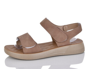 ZK350-8, 8 (36-41), <strong>450</strong>, літо