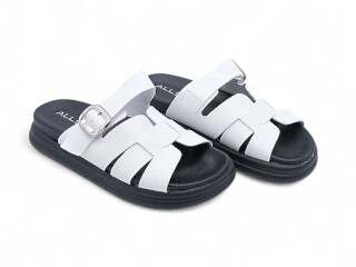 196687, 8 (36-41), <strong>17.7</strong>, літо