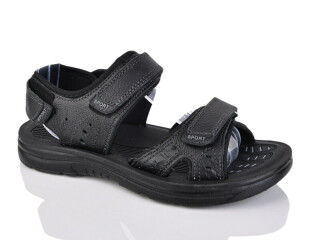 SL116-1, 8 (41-46), <strong>440</strong>, літо