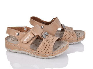 Ш05-5 (11142), 6 (25-30), <strong>58</strong>, літо