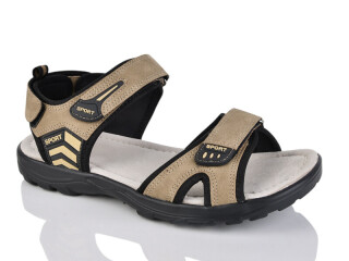 F19-3, 8 (41-46), <strong>590</strong>, літо