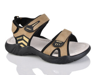 F20-3, 8 (36-41), <strong>560</strong>, літо