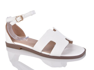 B8-2, 8 (36-41), <strong>560</strong>, літо