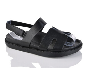 K53-1, 8 (36-41), <strong>560</strong>, літо