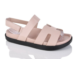 K53-2, 8 (36-41), <strong>560</strong>, літо