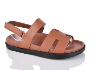 K53-3, 8 (36-41), <strong>560</strong>, літо