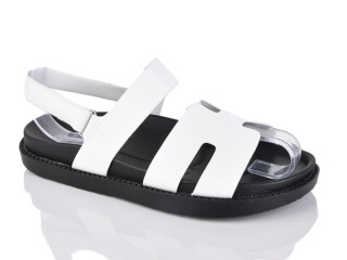 K53-6, 8 (36-41), <strong>560</strong>, літо