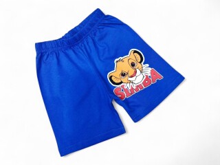 18175 електрик, 4 (1-4), <strong>2.8</strong>, літо