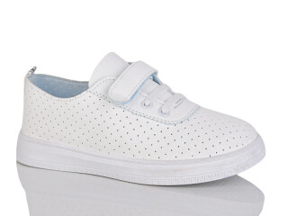 5004-1, 8 (31-36), <strong>280</strong>, літо